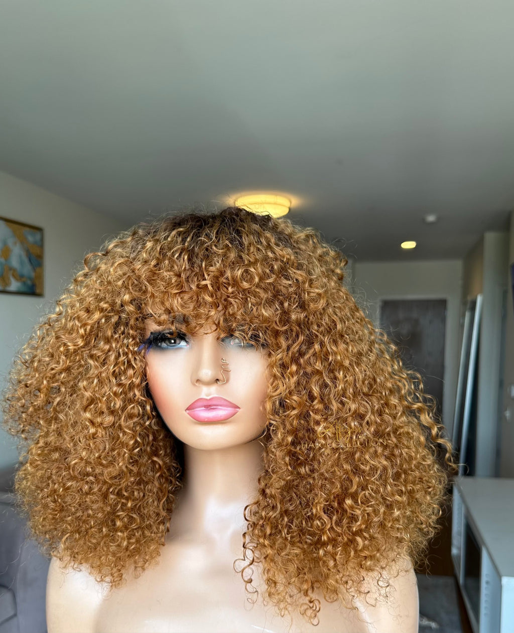 Frange Exotique Ombré