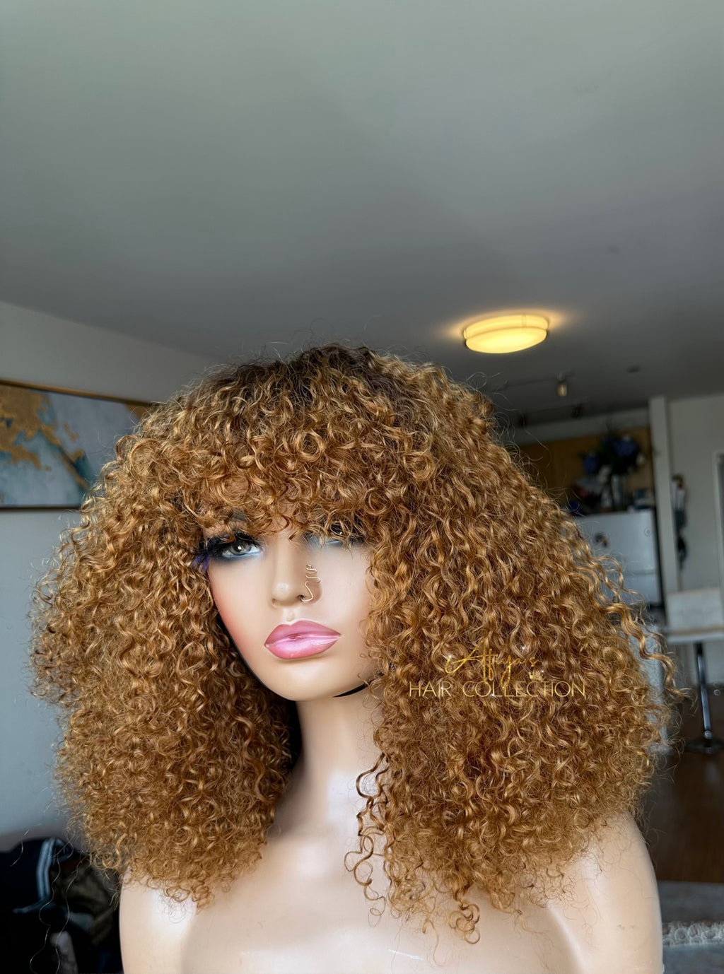 Frange Exotique Ombré